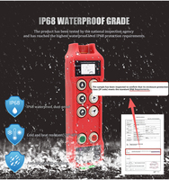 Control Remoto Inalámbrico por Radio para Grúa Eléctrica a Prueba de Agua IP67 Personalizado, Transmisor y Receptor