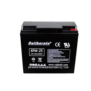 rechargeable battery 12v agm lead acid battery sealed lead acid battery 12v25ah