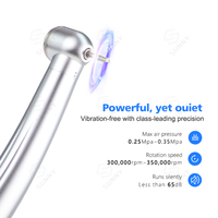 Cheap Price Dental High Speed Handpiece 2/4Hole Fiber Optic AirotorDental Handpiece