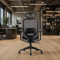 Chaise de bureau ergonomique en maille à dossier haut, pivotante, pour ordinateur, avec soutien lombaire et accoudoirs réglables