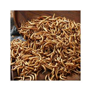 Venda Direta Da Fábrica Natural Seco Mealworm Bread Worms Pet <span class=keywords><strong>Food</strong></span> para Hamsters Pássaros Outros Pequenos Animais - Product Image 5