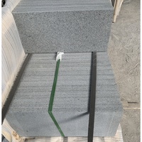 Carreaux de granit noir de sésame naturel de Chine G654 24 ''x 12''