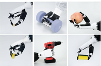 Main robotique humanoïde FM à cinq doigts, agilité bionique, force de préhension de 1 kg, détection de force intégrée pour la préhension, garantie 1 an