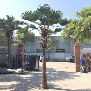 Arbres Artificiels Naturels pour l'Extérieur Anti-UV Protéger les Palmiers Grand Faux <span class=keywords><strong>Palmier</strong></span> avec des Feuilles Artificielles <span class=keywords><strong>en</strong></span> <span class=keywords><strong>Forme</strong></span> <span class=keywords><strong>d</strong></span>'<span class=keywords><strong>Éventail</strong></span> - Product Image 1
