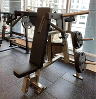 Machine de presse épaules ISO-latérale moderne en acier inoxydable à charge par plaques pour l'exercice des triceps et des biceps