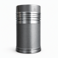 Pièces de rechange pour groupe électrogène Ricardo diesel R6108ZLD R6105IZLD R6105AZLD 150 120 100 kW : Chemise de cylindre et joint d'étanchéité