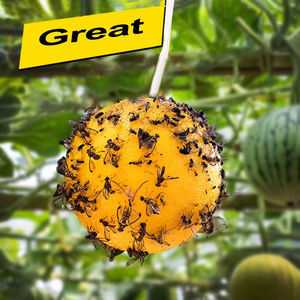 Trampa Adhesiva para Moscas de la Fruta, Control de Plagas, Trampa para Avispas, Abejas e Insectos de 8 cm, Trampas para Mosquitos para Interiores, Exteriores, Cocina y Plantas - Product Image 5