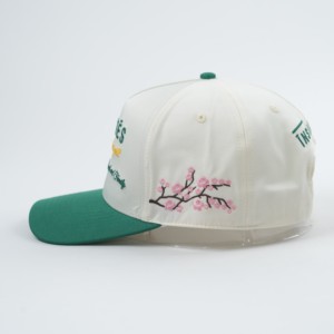 Gorra de Béisbol Personalizada de Fábrica OEM para Hombre y Mujer, 5 Paneles, Visera Curva, Algodón y Poliéster, Logotipo Bordado, Gorra Estructurada Tipo Dad Hat - Product Image 5