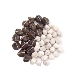 Di alta qualità semi di Moringa Natura Loleifera secchi alla rinfusa semi di Moringa <span class=keywords><strong>erbe</strong></span> - Product Image 1