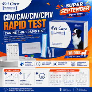 Super Septembre : Kit de test rapide <span class=keywords><strong>respiratoire</strong></span> pour chiens - Combo CDV/CAV/CIV/CPIV (Maladie de Carré, Adénovirus, <span class=keywords><strong>Grippe</strong></span>, CPIV) - Product Image 1