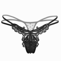 Culottes sexy transparentes à broderie de papillon, taille basse, dentelle, tentation, dos en Y, dos creux