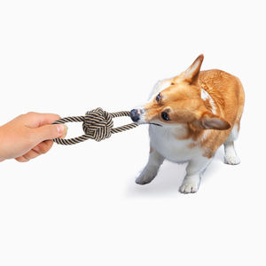 Yüksek kaliteli köpek çiğneme oyuncaklar temizleme dişleri yıkılmaz pamuk halat interaktif yavru oyuncaklar - Product Image 2