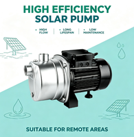 Pompe à jet solaire DC en acier inoxydable 304, auto-amorçante, pour eau de surface, avec turbine en laiton, pour l'irrigation domestique et l'alimentation en eau