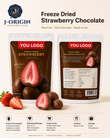 Gefreeze-droogde aardbeienchocolade snack premium fruit snoep 58g 40 zakjes 12 maanden houdbaarheid kant-en-klaar OEM/ODM Private Label