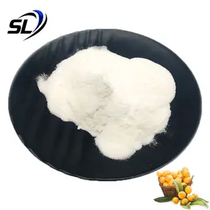 Ursolic Acid Loquat Leaf Extract Powder 98% Ursolic Acid Powder