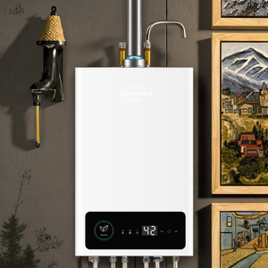 Calentador <span class=keywords><strong>de</strong></span> Agua CE <span class=keywords><strong>de</strong></span> Fácil Instalación y Calentador <span class=keywords><strong>de</strong></span> Agua a <span class=keywords><strong>Gas</strong></span> NG CE - Product Image 3