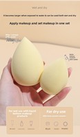 Ensemble d'éponges de maquillage non absorbantes utilisation humide et sèche boîte de rangement bouffée support de corne de cerf OEM vente en gros
