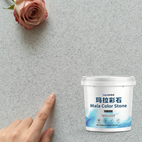 Peinture artistique en pâte Mara pour pierre colorée, imperméable, ignifuge, anti-poussière, faible rétrécissement, en seau, directement de l'usine