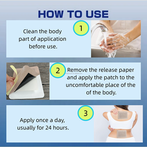 Patch anti-<span class=keywords><strong>douleur</strong></span> à la menthe et gingembre pour articulations froides Élimination des douleurs musculaires et osseuses en stock - Product Image 5