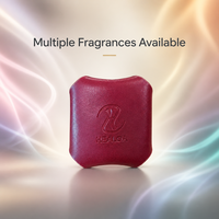 Désodorisant voiture rechargeable en cuir, diffuseur en zinc avec aromathérapie, évaporation naturelle et parfum longue durée