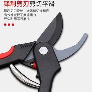 Nice Garden Shears 55mm Stainless Steel Blade Butterfly Structure For Fruit Tree Pruning - Product Image 2