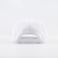 Gorra de Golf Deportiva Personalizada 100% Poliéster, Tejido Oxford, con Logotipo, Perforada, con Diseño de Puntos, Argyle, Leopardo, Transpirable, Impermeable, Casual, Dorada