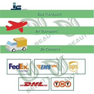 100% puro nero estratto di semi di cumino in polvere alla rinfusa integratore a base di erbe supporto immunitario naturale Halal cibo certificato cosmetici <span class=keywords><strong>Pharma</strong></span> - Product Image 6