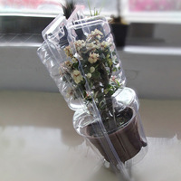 Boîte d'emballage en PET pour pot de plante, format personnalisé, estampage et gaufrage, écologique, recyclable, marque KS, logo personnalisé