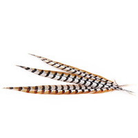 Fabrikgefärbte, gebleichte, naturfarbene 50-55 cm lange Fasanenschwanzfedern, rohes Muster, große Reeves Xinyuling Marke, 100 Stück/Packung
