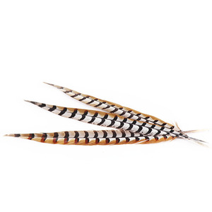 Nhà Máy nhuộm tẩy trắng 50-55 cm dài chim trĩ đuôi lông nguyên mô hình lớn Reeves xinyuling thương hiệu <span class=keywords><strong>100</strong></span> cái/gói trang trí - Product Image 2