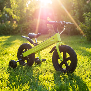 Vélo d'équilibre électrique pour enfants homologué CE, 500W, 48V, roue avant de 12 pouces, acier au carbone, selle en cuir, pour enfants de 8 ans (Len 93) - Product Image 6