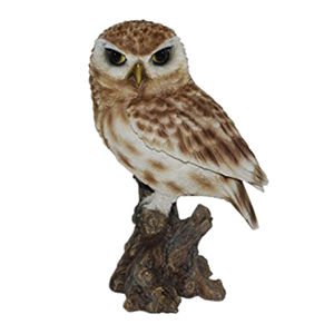 Vivid Echte Leven Grote Sneeuwuil Tuin Ornament Hars Vogel Standbeeld voor Koop - Product Image 4