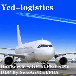 Detector Shenzhen to Global Freight Forwarding Cheapest DDP Air Freight DHL Express Door to Door to South Korea FBA Warehouse