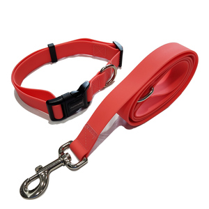 Correa y Collar para Perro de Doble Lujo, Ecológicos, Impermeables, de Silicona Suave y PVC, con Impresión Personalizada - Product Image 1