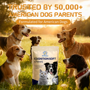 Suppléments à mâcher doux pour la cognition des chiens, DHA + Ginkgo Biloba, améliore la cognition de la mémoire, soutien cérébral du vieillissement des chiens âgés - Product Image 6