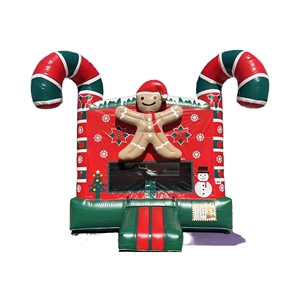 Château gonflable commercial pour enfants, idéal pour les fêtes intérieures/extérieures et la <span class=keywords><strong>location</strong></span> - Product Image 3