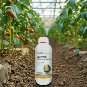 <span class=keywords><strong>Engrais</strong></span> foliaire <span class=keywords><strong>riche</strong></span> <span class=keywords><strong>en</strong></span> <span class=keywords><strong>phosphore</strong></span> <span class=keywords><strong>et</strong></span> <span class=keywords><strong>en</strong></span> <span class=keywords><strong>potassium</strong></span> à base d'algues, très vendu, pour compléter le <span class=keywords><strong>phosphore</strong></span> <span class=keywords><strong>et</strong></span> le <span class=keywords><strong>potassium</strong></span> - Product Image 5