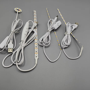Venta caliente DC 5V <span class=keywords><strong>USB</strong></span> Interruptor de encendido/apagado COB <span class=keywords><strong>Led</strong></span> Tira de luces Cuerda de luz con enchufe <span class=keywords><strong>Usb</strong></span> Tira de <span class=keywords><strong>LED</strong></span> regulable - Product Image 1