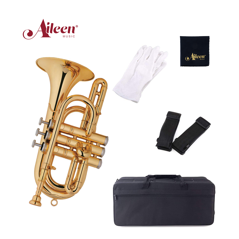 Испанский студенческий инструмент Cornet C Tone 11,8 мм, размер отверстия, латунный инструмент (CN8713G)