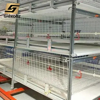 Nouvelle cage d'élevage automatique de type H pour l'élevage, en acier galvanisé, multifonctionnelle, pour poules pondeuses et poulets de chair