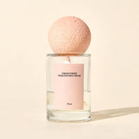Bouteille diffuseur d'arômes en verre transparent vide de 80 ml avec bouchon roll-on personnalisable et couvercle en boue de diatomée pour parfum d'intérieur, vente en gros OEM