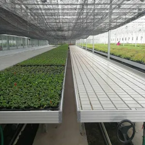 Custom Mould Agriculture Greenhouse Benches Rolling Irrigation Single Line ABS Plastic Hydroponic Ebb And Flow Tray Suppliers