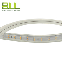 220V 192V personnalisé SMD2835 120leds/m 11W par mètre 2700K Ip65 bande lumineuse led haute tension pour l'extérieur