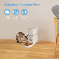 Distributeurs automatiques de nourriture pour chats et chiens, conception anti-obstruction, distributeur de nourriture sèche pour animaux de compagnie, distributeur de nourriture pour chats programmable avec bol en acier inoxydable
