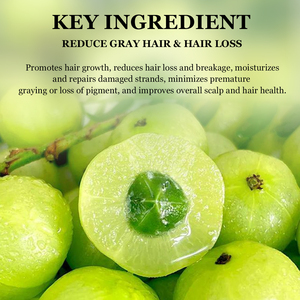 Herbals <span class=keywords><strong>Amla</strong></span> Shampooing Chute de cheveux naturelle et dommages Nettoyant à base de plantes Anti-perte de cheveux Renforcement et nourrissant Ensemble de shampooing pour la croissance des cheveux - Product Image 2