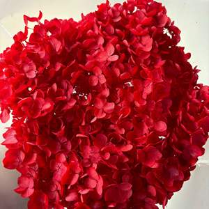 Hortensias Preservadas <span class=keywords><strong>de</strong></span> 60 cm, Hortensias Eternas Anna para Decoración del Hogar, Restaurante, <span class=keywords><strong>Arreglos</strong></span> Florales para Bodas y Día <span class=keywords><strong>de</strong></span> San Valentín - Product Image 3