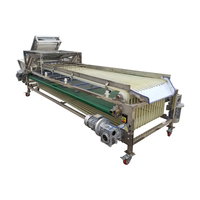 Pruimen fruit sorteerapparaat, appel sorteermachine, sinaasappel sorteermachine, maat sorteermachine beschikbaar voor Medjool dadels, jujubes en dadels.