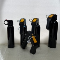 Bouteille pulvérisateur légère et portable de 480 ml, motif et logo personnalisés, emballage cosmétique, fabricant de flacons pulvérisateurs à fine brume
