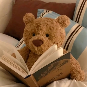 Collection complète de jouets en peluche super doux Jellycat du Royaume-Uni, avec sac anti-poussière, ours de Barcelone et jouets en coton PP - Product Image 2