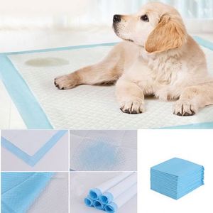 Tapis d'entraînement à la propreté pour chiots, absorbants, en herbe, pour usage intérieur, pour chiens - Product Image 2